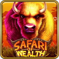 Safari Wealth